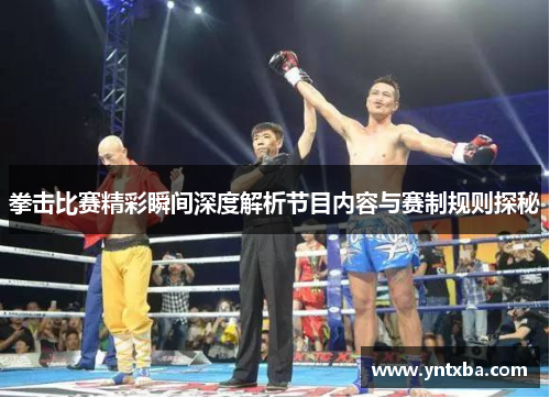 拳击比赛精彩瞬间深度解析节目内容与赛制规则探秘