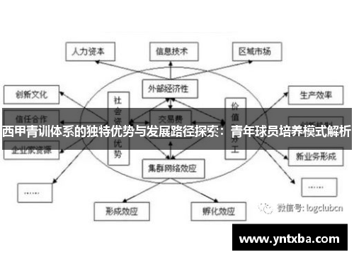 西甲青训体系的独特优势与发展路径探索：青年球员培养模式解析